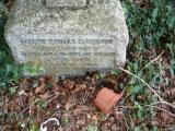 image of grave number 236719